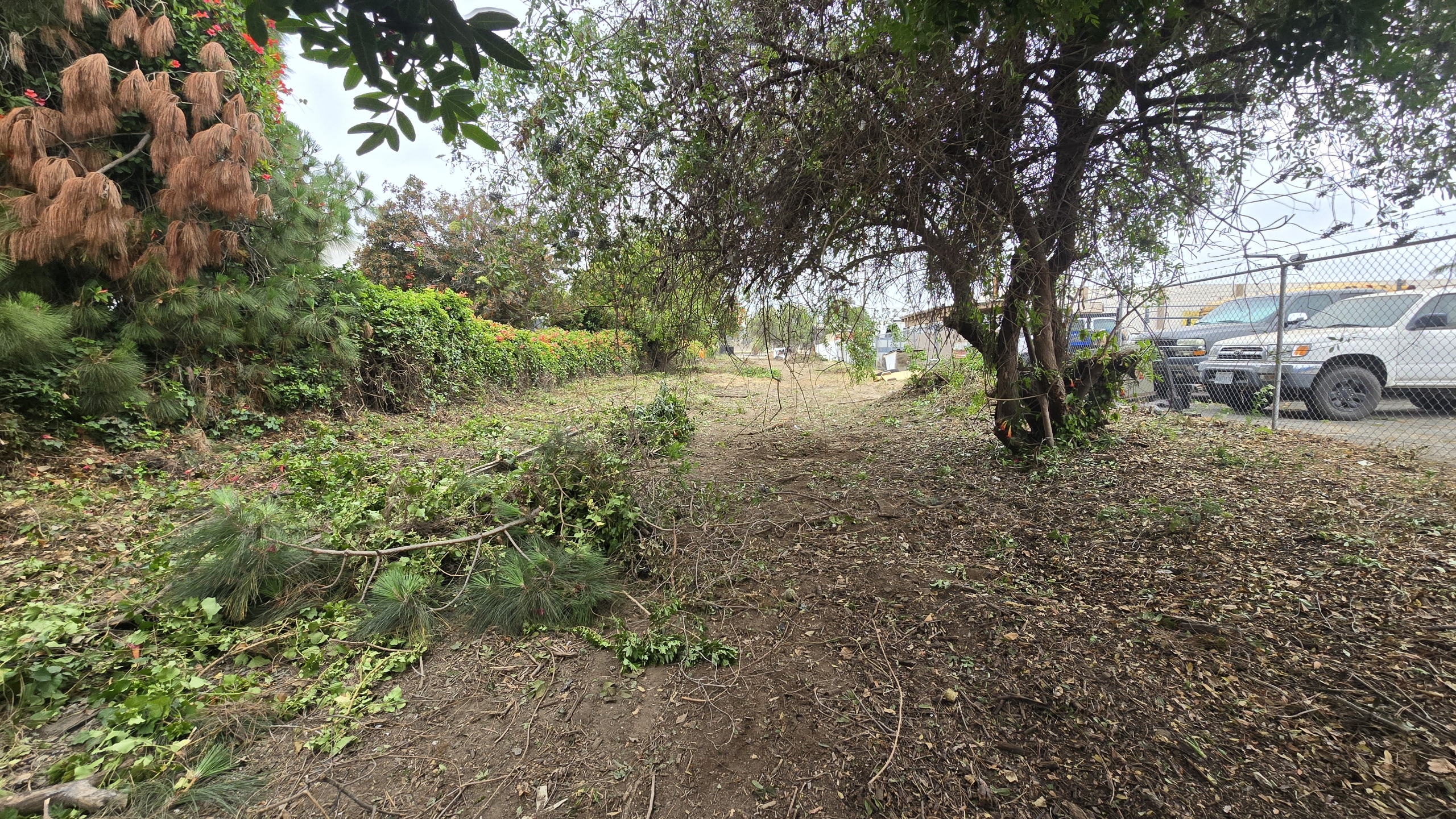 Defensible space — after brush clearance