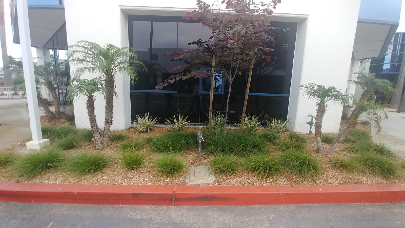 Bollard lighting and sidewalk plantings